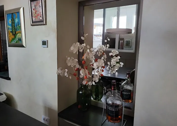 公寓 Skipper 皮兰